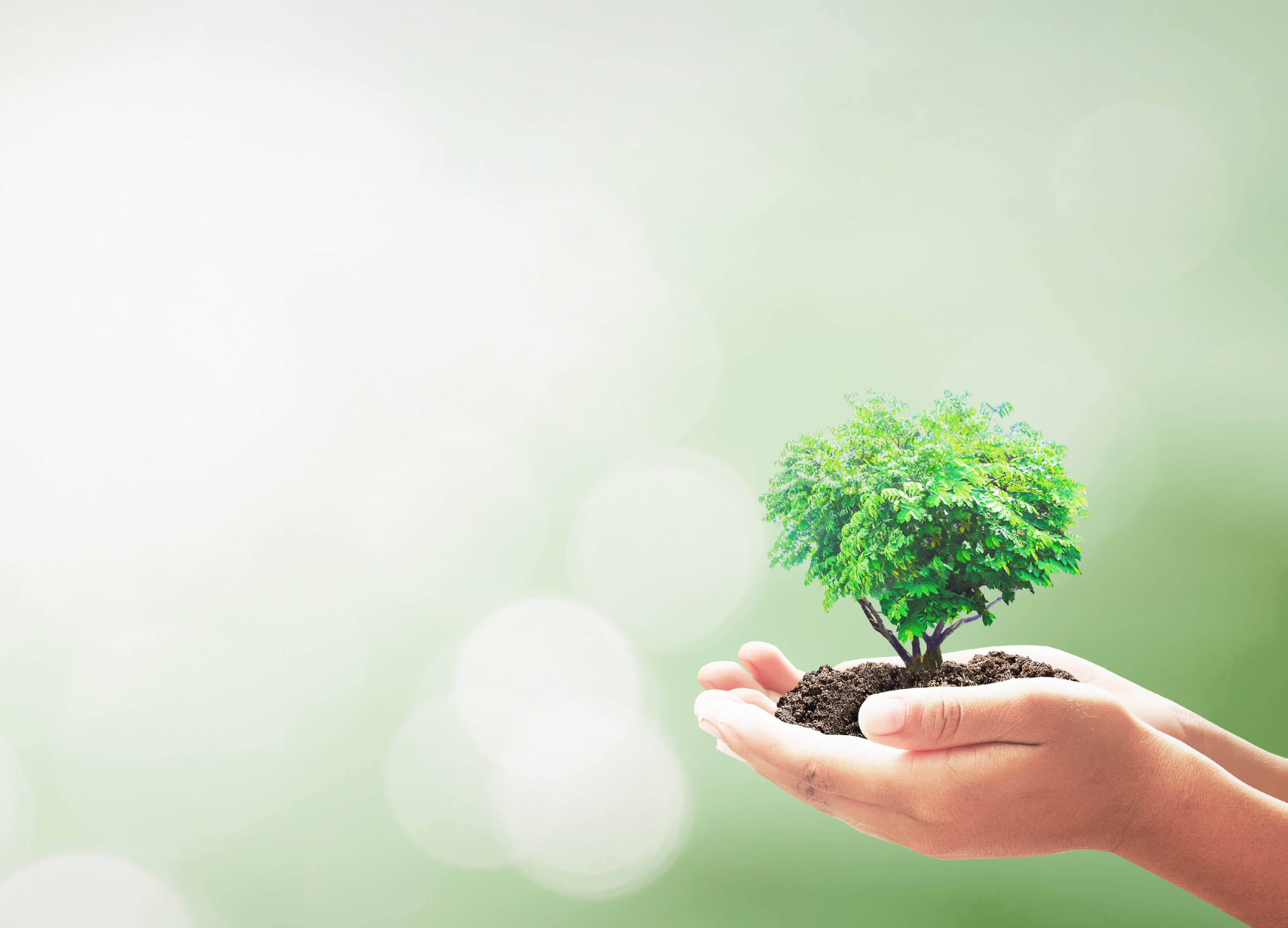 Nachhaltiges Wirtschaften