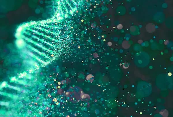 Alphartis Unternehmen.webp