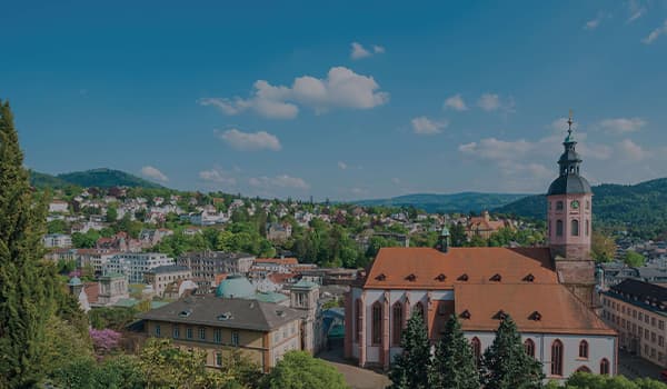 Alphartis Region Mittlerer Oberrhein.jpg