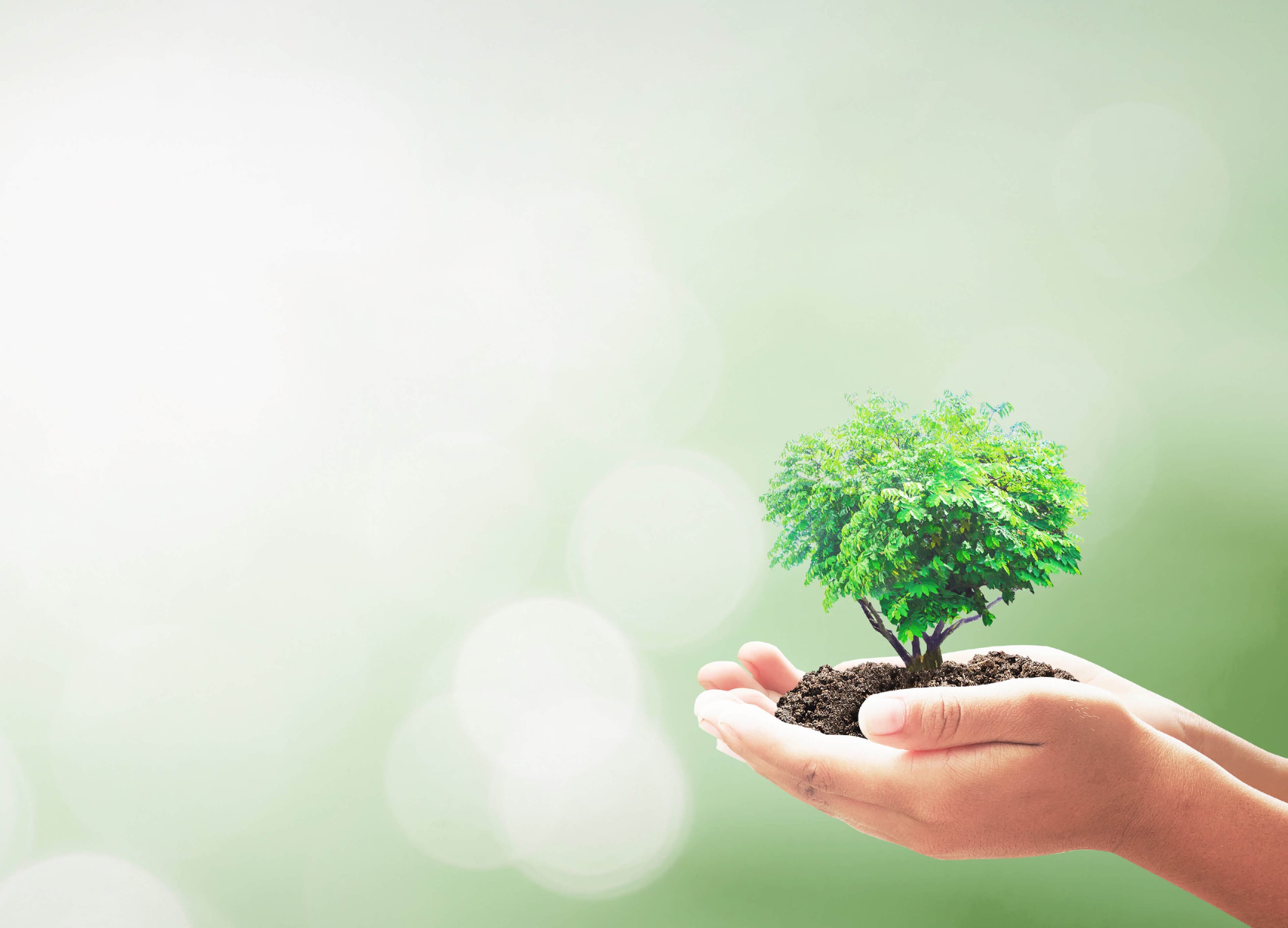 Alphartis Nachhaltigkeit Header.jpg