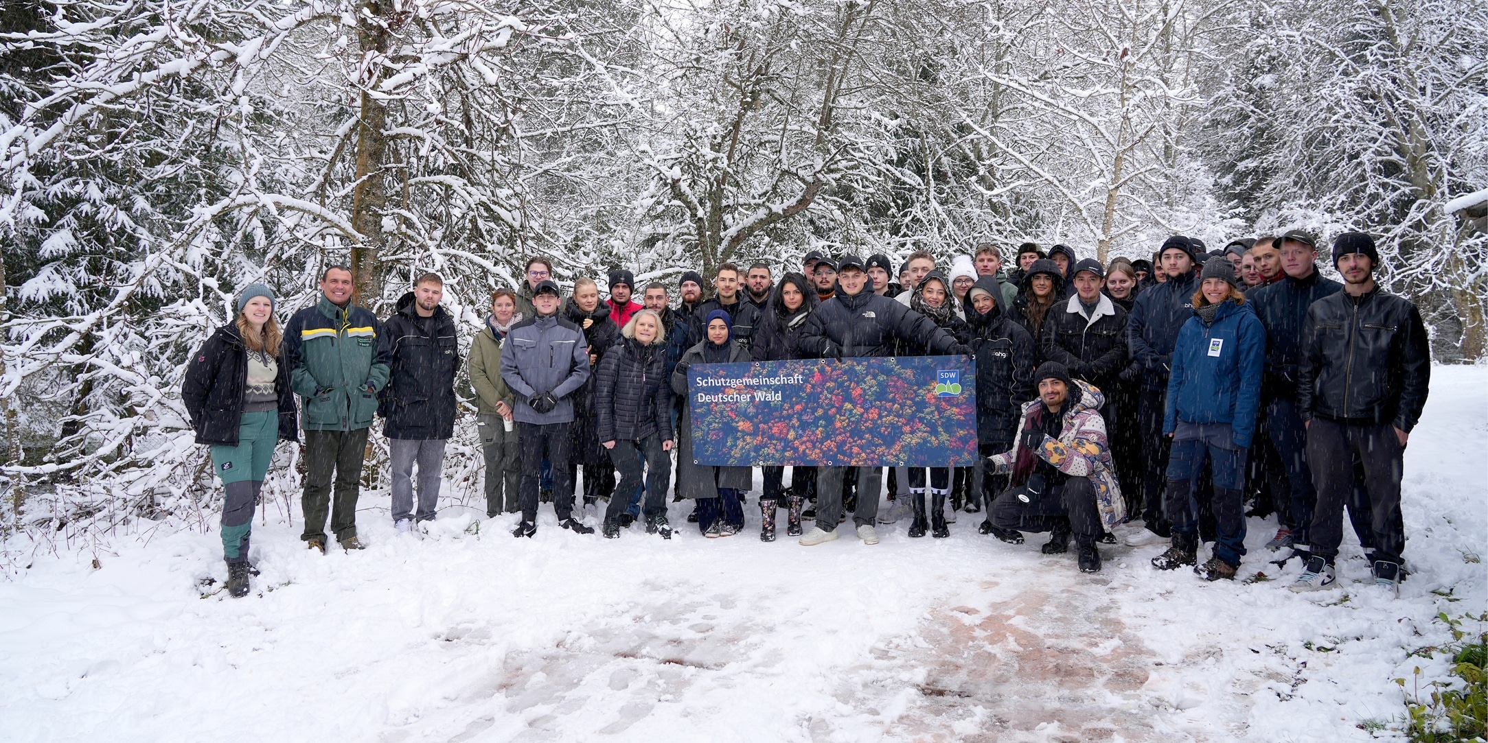 Header Baum_komprimiert.jpg